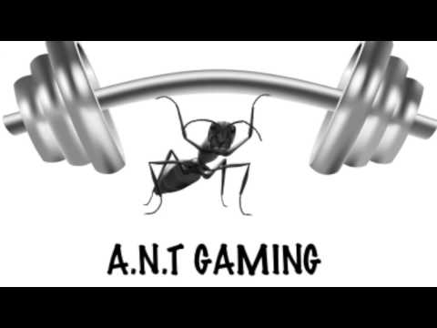 A N T GAMING Intro