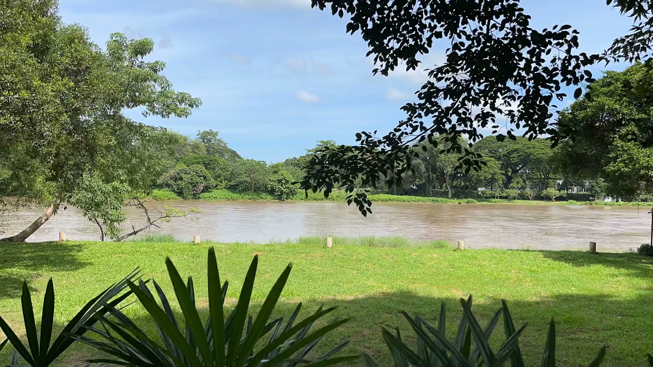 Experience the mesmerizing timelapse of Chiang Rai's tranquil Kok River.