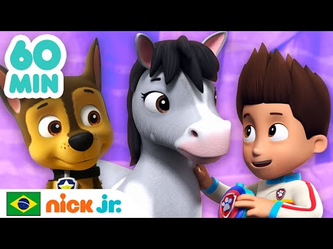 Patrulha Canina| 1 hora de Patrulha Canina salvando animais! | Nick Jr. em Português