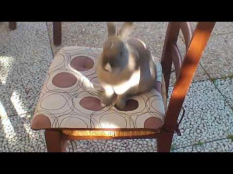 Stellina mi guarda male