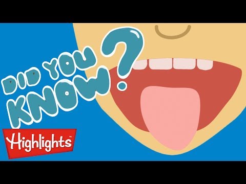 Did you know? All about FOOD! | Highlights Kids | Full Episode | Winter Kids Videos - Kingdom Kids Zone, Little Learners - Highlights Kids