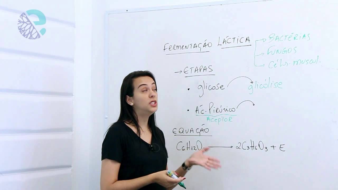 Fermentação láctica