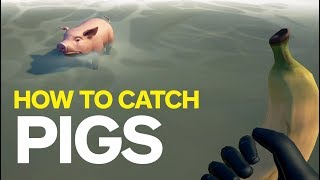 Sea of Thieves - How to Capture a Pig