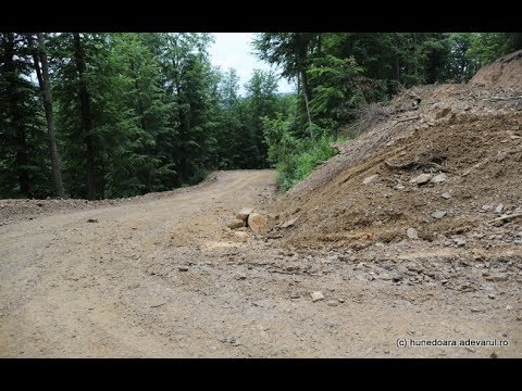Drum in Tinutul Padurenilor Bunila - Cernisoara Florese