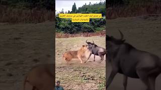 عندما تنقلب الموازين فيمنتصف الطريق بالمفاجآت!💥#shorts