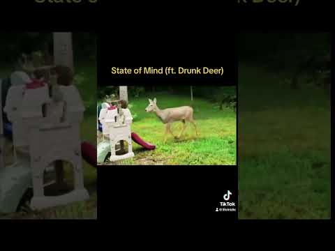Life in Idle - State of Mind (ft. Drunk Deer) #deer #funnyanimals #animals #emo #funny #viralshorts