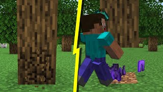 MINECRAFT ROBADO