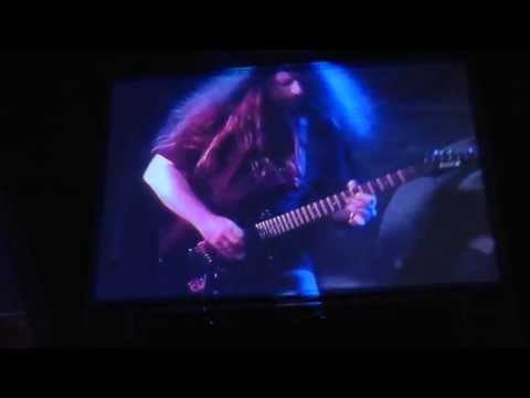 Arakain- Kolonie termitů