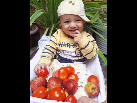 My 7th months Photo shoot | #shorts | Master Bhuvik |