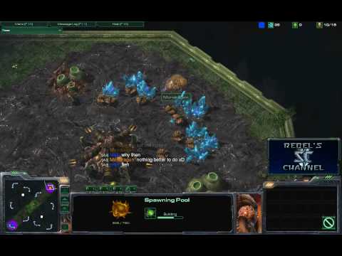 Starcraft 2 Razer A 4 retje vs Mondragon ZvZ (SoW) game 2