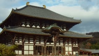preview picture of video 'Todaiji Temple　（東大寺）, Nara City'