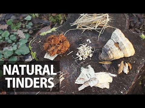 download lagu mp3 mp4 A natural Fire, download mp3 A natural Fire free download mp3, download mp3 A natural Fire