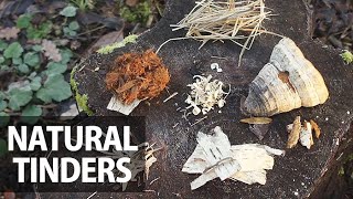 10 Ways to Make Fire - Natural Tinders