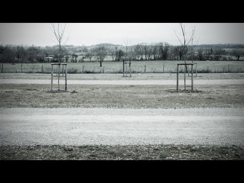 video frame placeholder