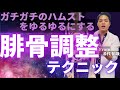 【上級者治療】坐骨神経痛と誤認される腿裏の痛みを治す腓骨テクニック 坐骨神経痛テクニック