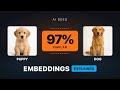Embeddings & Vector Databases Explained