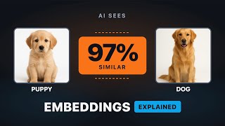 Embeddings & Vector Databases Explained