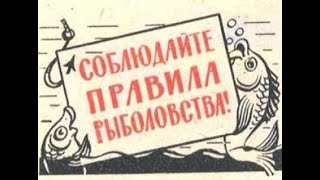 Допустимые размеры рыбы для любительской рыбалки в астраханской области