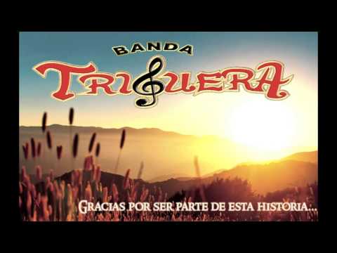 download lagu mp3 mp4 Danza Del Coyote, download lagu Danza Del Coyote gratis, unduh video klip Danza Del Coyote