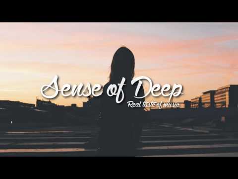 Shavi ft. Beatrich - Rising High