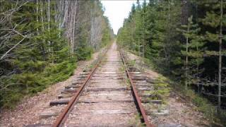 Ulf Lundell Under askan