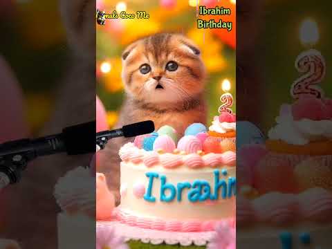 HAPPY BIRTHDAY TO YOU IBRAHIM | HAPPY BIRTHDAY SONG WITH NAMES | Adorable Cute Cat 😺 #cat #cute