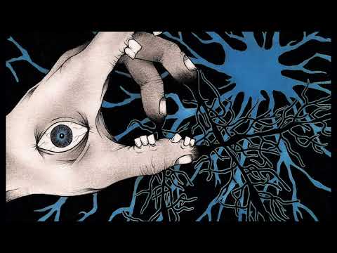 Backslider/Nimbus Terrifix - Split 7"