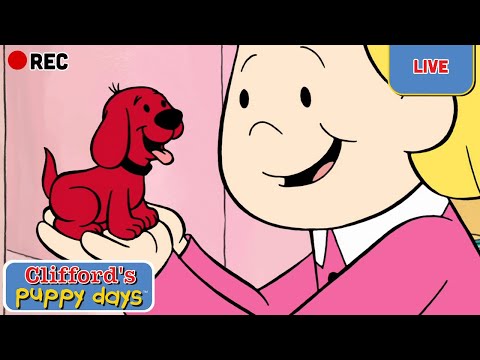 🔴 LIVE | Clifford's Puppy Days 🐕 FULL EPISODES | Scholastic