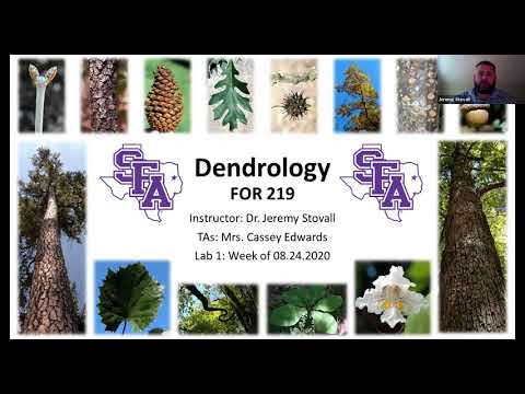 SFA Dendrology Lab - Week 1 Introduction (FORS 2319)