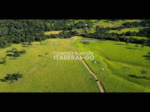 Fazenda à Venda em Itaberaí GO | 66 Alq | 7 Nascentes | 500 Bois