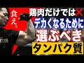 【筋肥大】デカくなるために食べるべき最高のタンパク源を紹介!