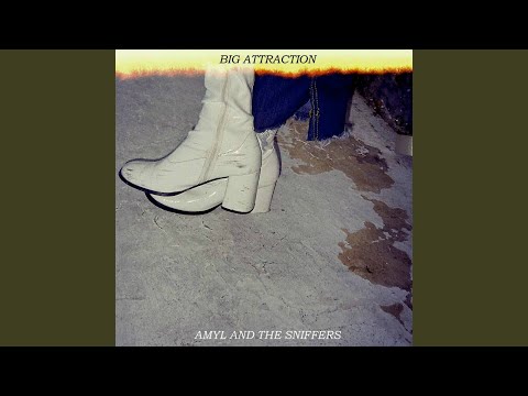 Im Not A Loser - Amyl and The Sniffers