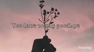 Too late to say goodbye - Cage the elephant (Lyric Video)