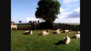 The KLF ~ Six Hours to Louisiana Black Coffee Going Cold (Chill Out)