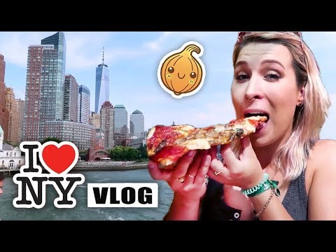 CEBULA w Nowym Jorku 🗽 Zwiedzamy wszystkie atrakcje! Dominik, Smav i Agnieszka Grzelak Vlog