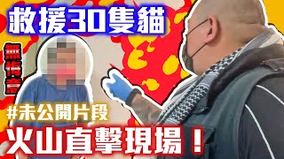 [心得] 超喵事件後續 貓咪們由毛怪樂園醫療照護