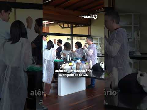 Caminhos da Reportagem apresenta o Museu de Ciência da Amazônia, no Pará