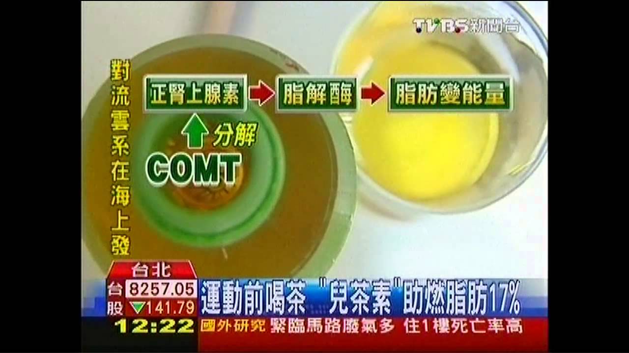 運動前喝茶　「兒茶素」助燃脂肪17%