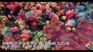 Dynamic Illusion @ Mindfields | 2016-10 October | [Frisky Radio]