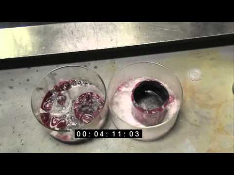 Coke Cans in Acid and Base (extended footage - no sound)