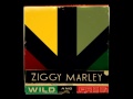 ziggy marley - elizabeth.mp4