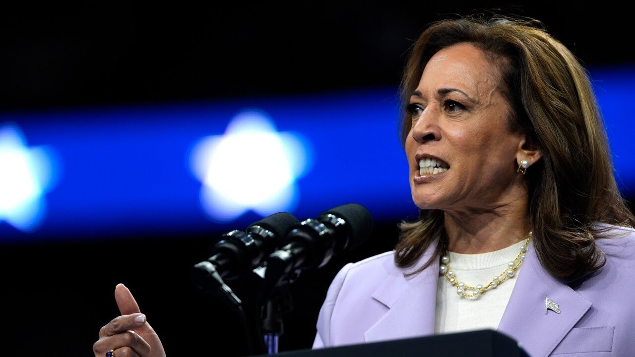 ‘Absolute meltdown’: Lefties lash out after Kamala’s Fox News interview