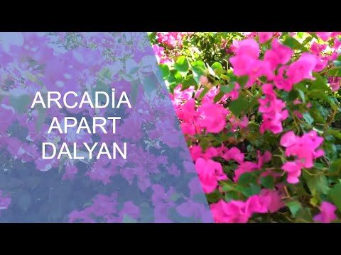 Arcadia Apart Hotel Tanıtım Filmi