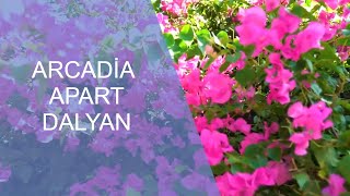 Arcadia Apart Dalyan | Neredekal.com