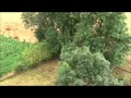 video rw8VAjtfVX4