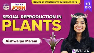 Sexual reproduction in Plants | How do Organisms Reproduce Class 10 Science (Pt 3 of 3) | CBSE Board