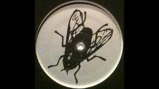 Sugaray  - fly (house remixes)