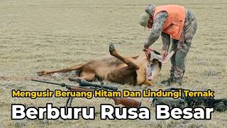 Download lagu Tough Mountain Men Hunt Big Deer and Drive Away Black Bears - Rimba Survival mp3