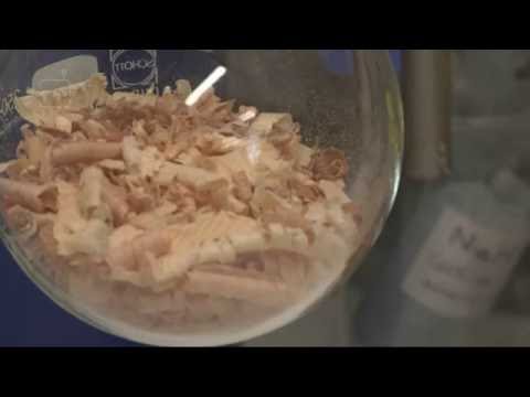 CampusTV Mainz 222 - Holz statt Erdöl