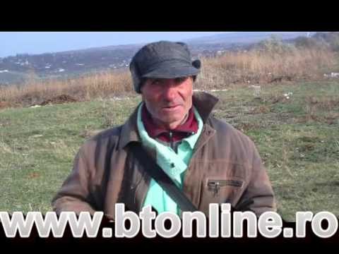 caini ucisi Vorniceni, Stiubieni Botosani vox